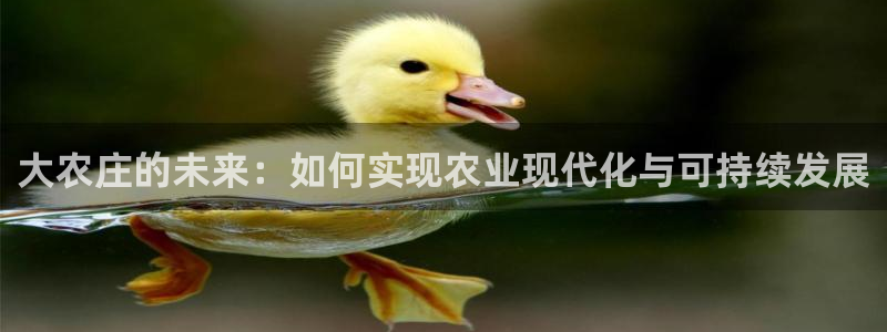 琳琅科技娱乐机器