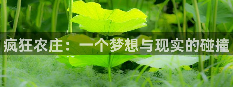 琳琅娱乐领先33300