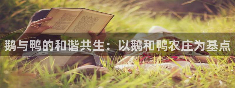 琳琅娱乐社区600u