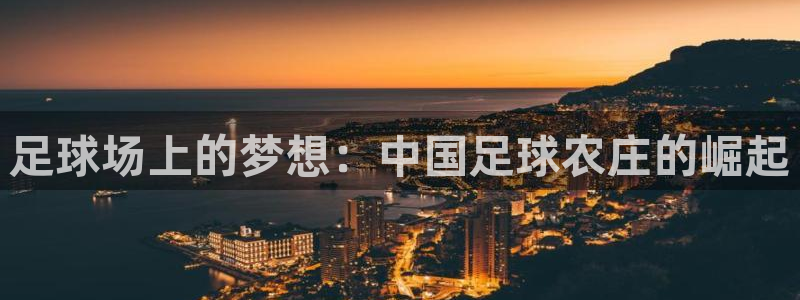 琳琅满目的娱乐设施