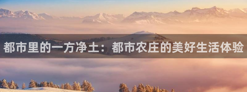 娱乐从琳琅榜开始