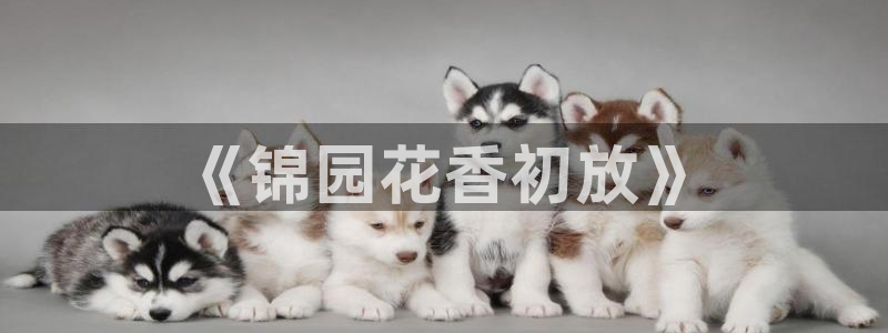 琳琅天上qq飞车娱乐