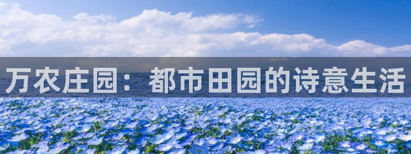 琳琅娱乐组飞车