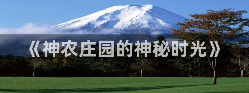 琳琅娱乐工作室地址查询