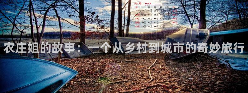 琳琅娱乐工作室地址查询