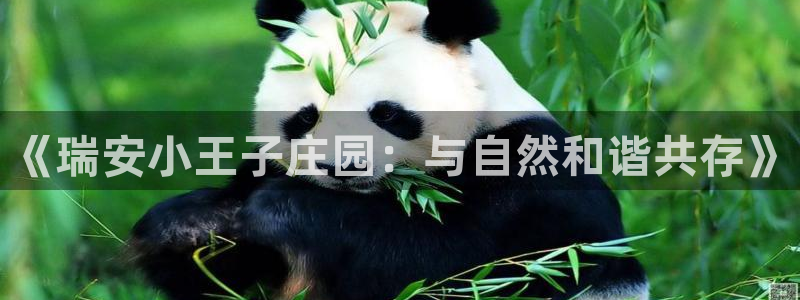 娱乐从琳琅榜开始笔趣阁