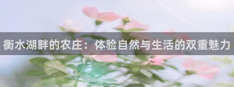 琳琅娱乐工作室地址查询