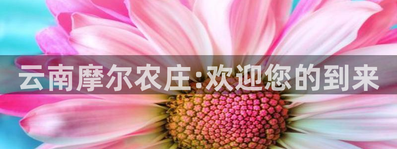 娱乐 从琳琅榜开始