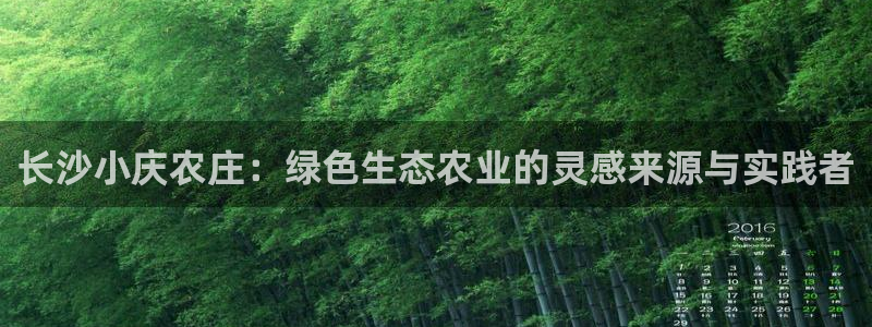 琳琅娱乐工作室地址查询