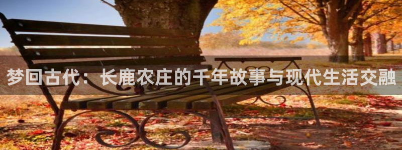 琳琅娱乐注册资金多少