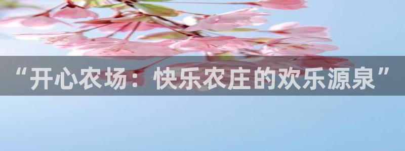 琳琅娱乐代理怎么做的