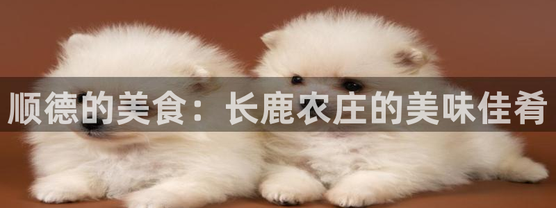 琳琅国际娱乐会所怎么样