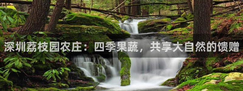 琳琅QQ娱乐机器人