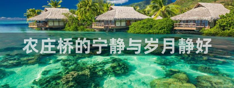 琳琅娱乐主管是谁