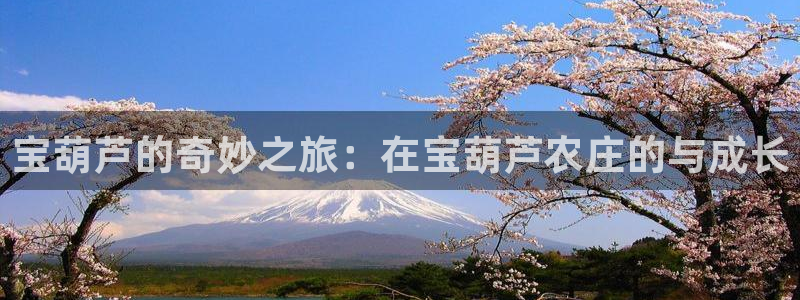 杭州琳琅互动娱乐