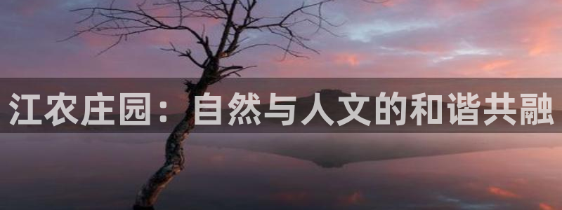 琳琅娱乐温柔乡网站