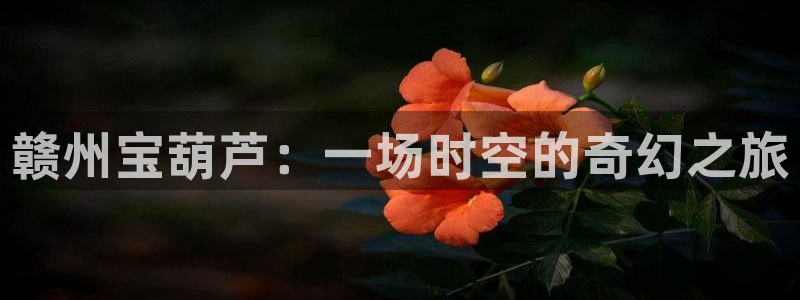 琳琅科技qq娱乐机器人怎么搞