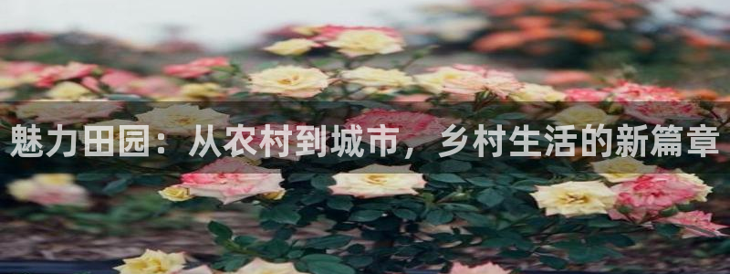 琳琅娱乐代理怎么做